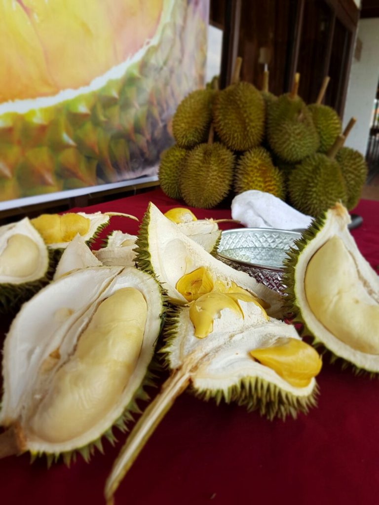 Durian extravaganza